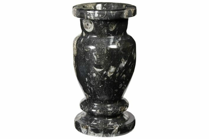 Limestone Vase With Orthoceras Fossils #119340